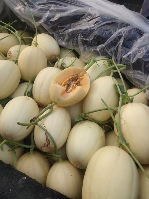 瓜果类 夏季的甜蜜与健康宝藏